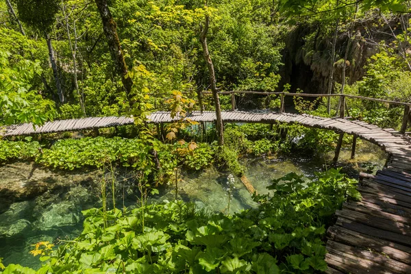 Boardwalk Plitvice Lakes National Park Croatia — Stockfoto