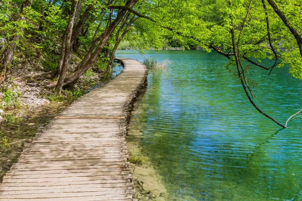 Boardwalk Plitvice Lakes National Park Croatia — Photo