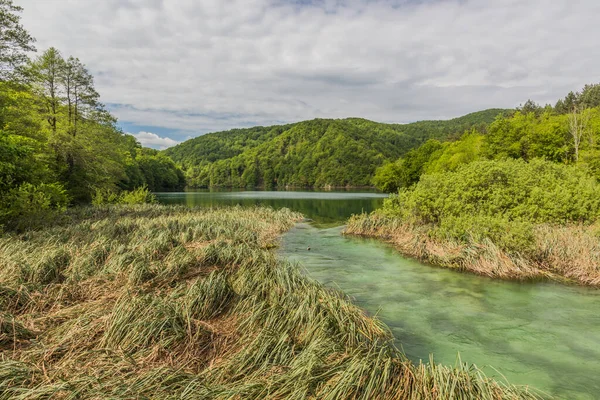 Kozjak Lake Plitvice Lakes National Park Croatia — Zdjęcie stockowe