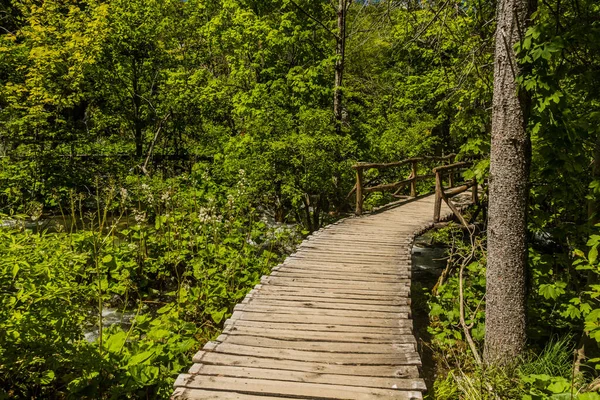 Boardwalk Taman Nasional Plitvice Lakes Kroasia — Stok Foto