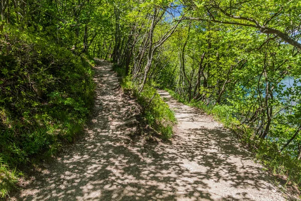 Sentiers Dans Parc National Des Lacs Plitvice Croatie — Photo