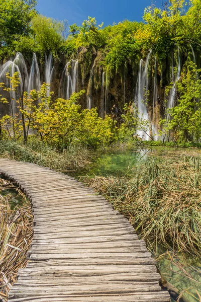 Mali Prstavac Vandfald Plitvice Lakes National Park Kroatien - Stock-foto