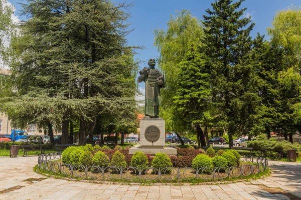 Cetinje Montenegro June 2019 Monument Ivan Crnojevic Cetinje Town Montenegro — Stock Fotó