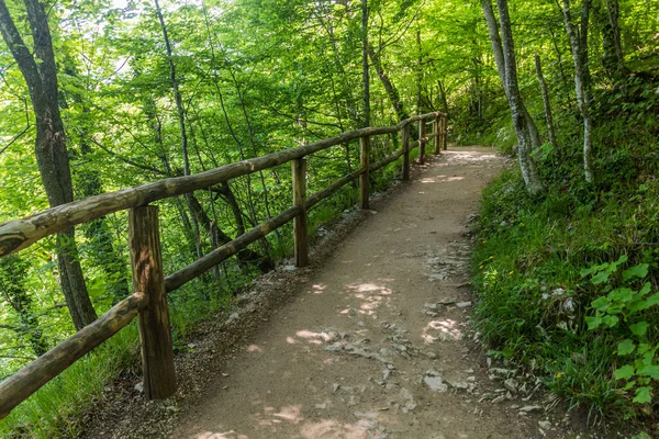 Sentier Randonnée Dans Parc National Des Lacs Plitvice Croatie — Photo