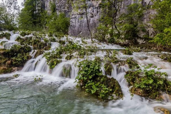 Grandes Cascades Dans Parc National Des Lacs Plitvice Croatie — Photo