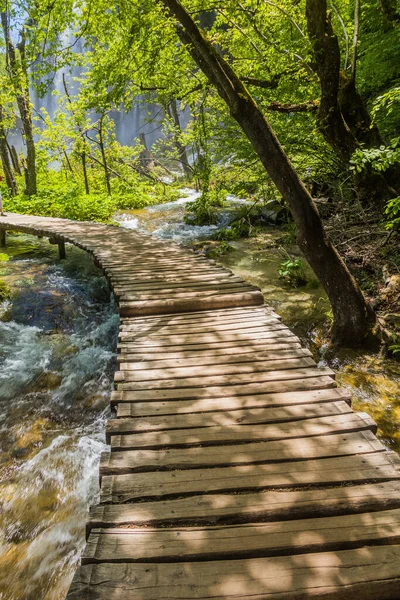 Promenade Dans Parc National Des Lacs Plitvice Croatie — Photo