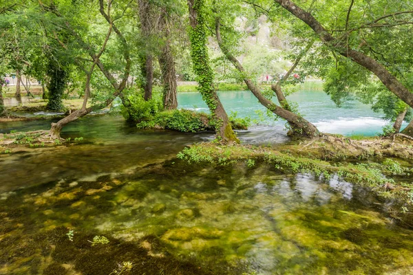 Krka Floden Nationalparken Krka Kroatien — Stockfoto
