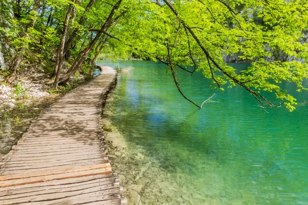 Boardwalk Plitvice Lakes National Park Croatia — Stock fotografie