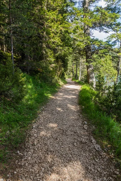 Hiking Trail Crno Jezero Lake Durmitor Mountains Montenegro — Stockfoto
