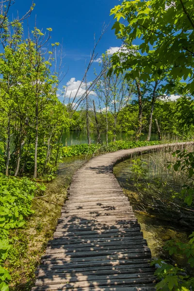 Boardwalk Plitvice Lakes National Park Croatia — Foto de Stock