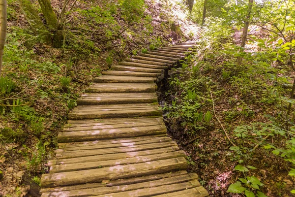 Boardwalk Taman Nasional Plitvice Lakes Kroasia — Stok Foto