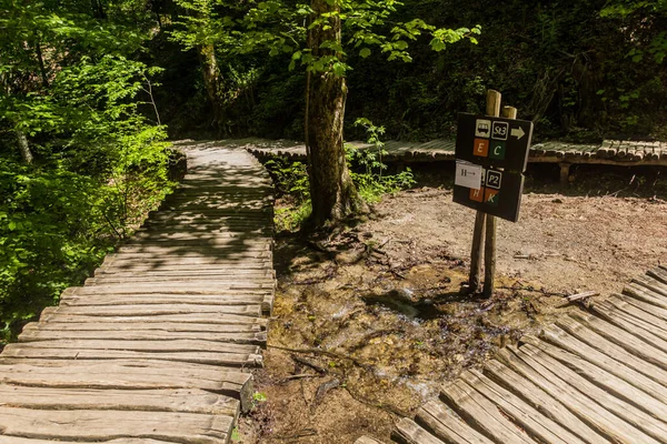 Promenades Dans Parc National Des Lacs Plitvice Croatie — Photo