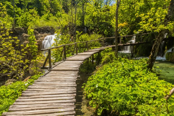 Boardwalk Plitvice Lakes National Park Croatia — Stockfoto