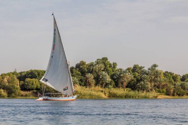 NILE, EGYPT - 16 Şubat 2019: Nil, Mısır nehrinde Felucca yelkenlisi