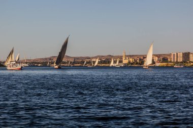 Felucca, Mısır 'ın Aswan kentindeki Nil nehrinde yelken açıyor.