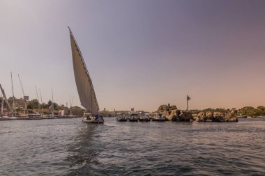 Felucca, Mısır 'ın Aswan kentindeki Nil nehrinde yelken açıyor.