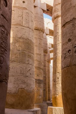 Mısır 'ın Karnak kentindeki Amun Tapınağı' ndaki Büyük Hypostyle Salonu 'nun sütunları.