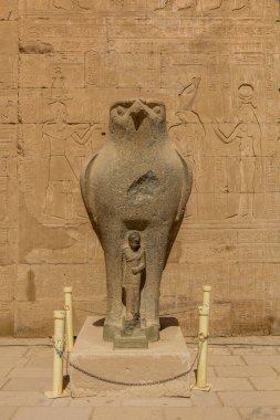 Mısır 'ın Edfu kentindeki tapınağı koruyan şahin Horus.