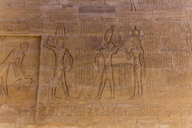 Edfu, Mısır 'daki Horus tapınağındaki hiyeroglifler.