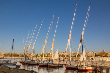 ASWAN, EGYPT: 14 Şubat 2019: Aswan, Mısır 'da Nil nehrinde Felucca yelkenlileri