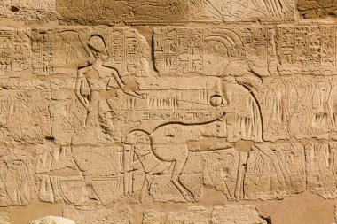 Mısır 'daki Karnak Tapınağı Kompleksindeki hiyeroglifler