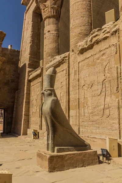 stock image Horus as falcon guarding the temple in Edfu, Egypt