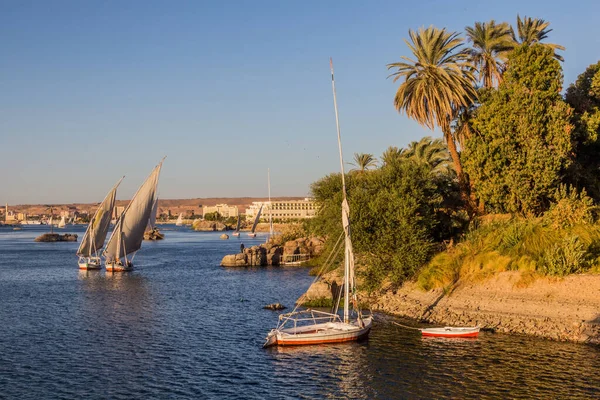 Felucca Ιστιοφόρα Στον Ποταμό Νείλο Στο Ασουάν Της Αιγύπτου — Φωτογραφία Αρχείου