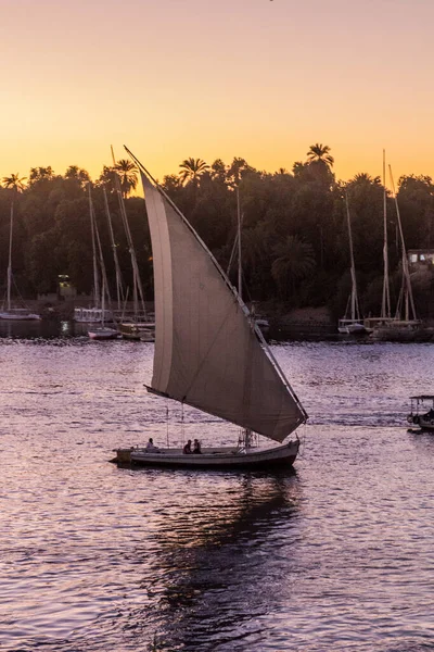 Barche Vela Felucca Sul Fiume Nilo Assuan Egitto — Foto Stock