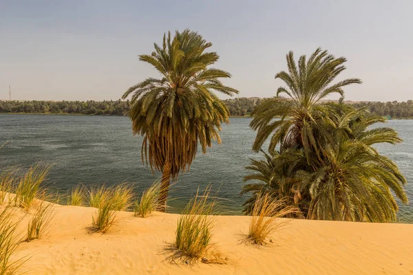 View River Nile Egypt — Stock Photo, Image