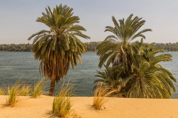 View River Nile Egypt — Stock Photo, Image