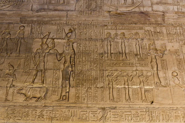 Ιερογλυφικά Στο Ναό Του Ώρου Στο Edfu Αίγυπτος — Φωτογραφία Αρχείου