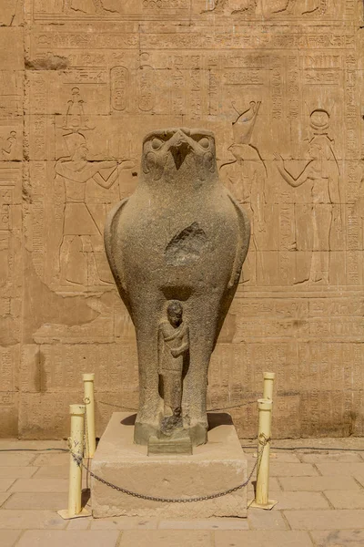 Horus Jako Sokol Střežící Chrám Edfu Egypt — Stock fotografie