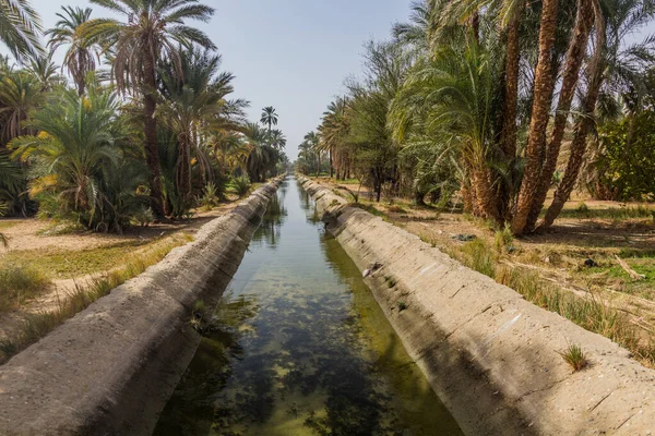 Mısır Nil Nehri Kıyısındaki Sulama Kanalı — Stok fotoğraf