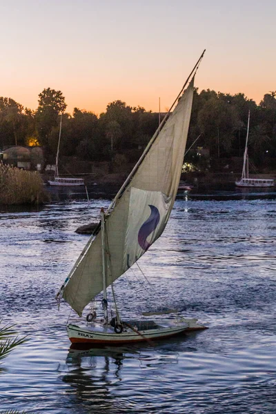 Aswan Egitto Feb 2019 Barche Vela Felucca Fiume Nilo Assuan — Foto Stock