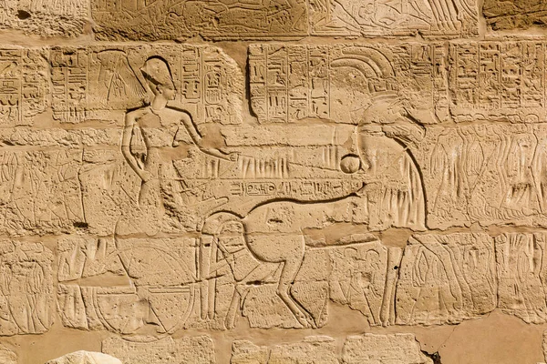 埃及卡尔纳克寺建筑群中的象形文字 — 图库照片
