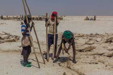 DANAKİL, ETHIOPIA - 24 Mart 2019: Danakil depresyonundaki Afar kabilesi tuz madencileri, Etiyopya.