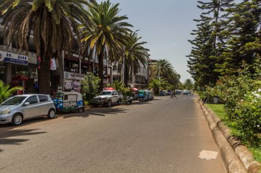 BAHIR DAR, ETHIOPIA - 2 Nisan 2019: Palm Line Avenue, Bahir Dar, Etiyopya