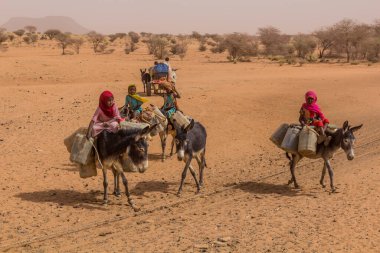 Nehir Nil Eyaleti, Sudan - 5 Mart 2019: Eşekleriyle Sudan 'ın kuru bir bölgesindeki bir kuyuya seyahat eden köylüler.