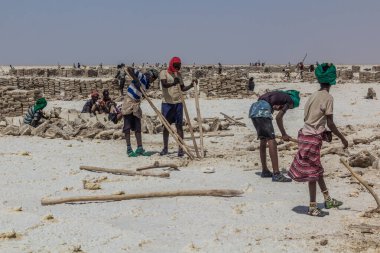 DANAKİL, ETHIOPIA - 24 Mart 2019: Danakil depresyonundaki Afar kabilesi tuz madencileri, Etiyopya.