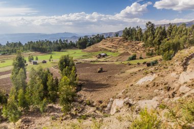 Lalibela, Etiyopya yakınlarındaki kırsal alan