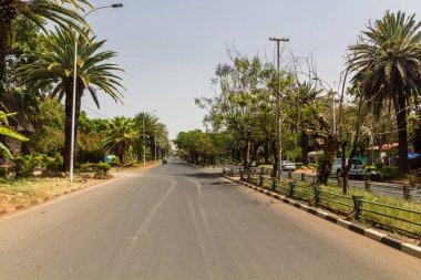 Palm Line Bulvarı, Bahir Dar, Etiyopya