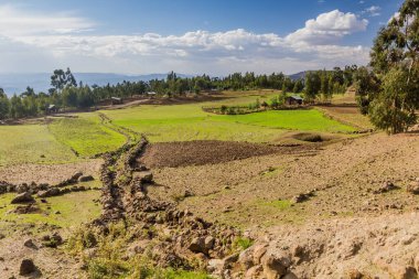 Lalibela, Etiyopya yakınlarındaki tarlaların görüntüsü
