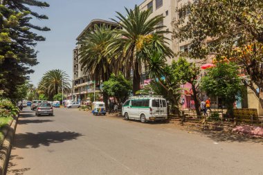 BAHIR DAR, ETHIOPIA - 2 Nisan 2019: Palm Line Avenue, Bahir Dar, Etiyopya