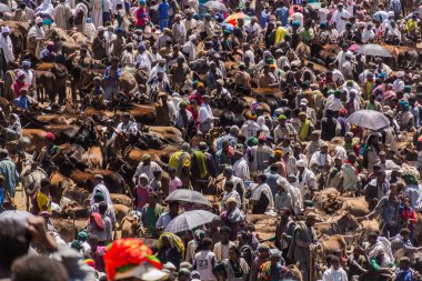 LALIBELA, ETHIOPIA - 30 Mart 2019: Kalabalık Lalibela, Etiyopya 'daki Cumartesi pazarında toplandı