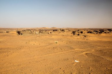 Eski Dongola harabeleri Sudan 'da terk edilmiş bir kasaba.