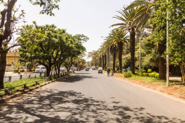 BAHIR DAR, ETHIOPIA - 2 Nisan 2019: Palm Line Avenue, Bahir Dar, Etiyopya
