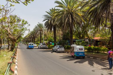 BAHIR DAR, ETHIOPIA - 2 Nisan 2019: Palm Line Avenue, Bahir Dar, Etiyopya