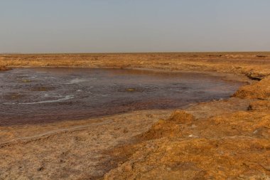 Gaet 'ale Göleti, Danakil depresyonu, Etiyopya. Köpüren gazlı hipersalin gölü.