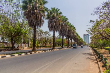 Palm Line Bulvarı, Bahir Dar, Etiyopya