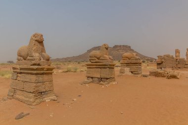 Sudan, Naqa 'daki Amun Tapınağı' nda koç sütunları.